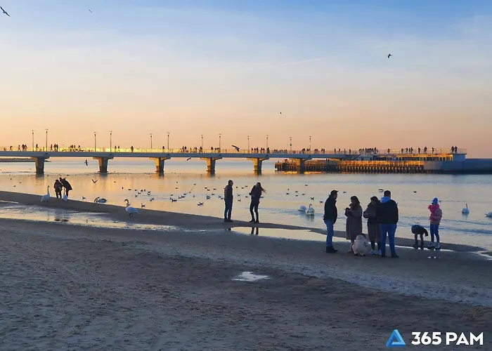 365pam - Feniks Podczele Basen, Silownia, Bawialnia 아파트